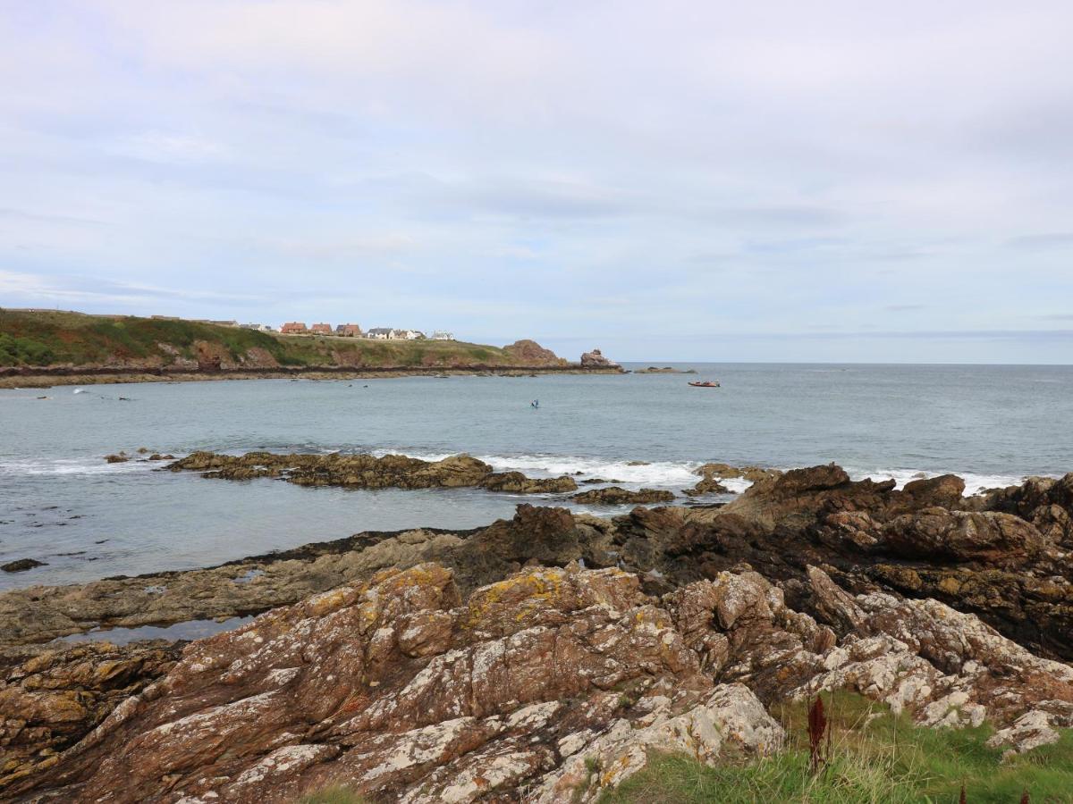 Meadow Lodge Coldingham Εξωτερικό φωτογραφία